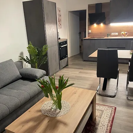 Sorinas - Comfortable Near Graz - Free Parking * Werndorf