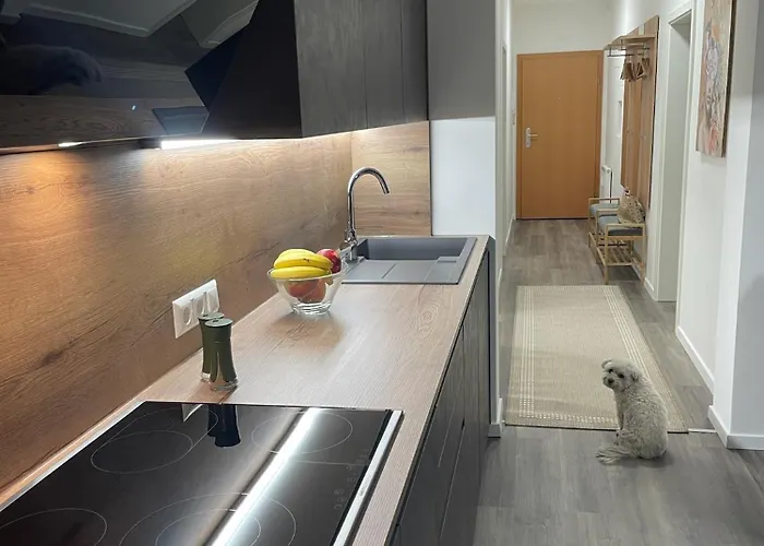 Sorinas - Comfortable Near Graz - Free Parking Apartman *